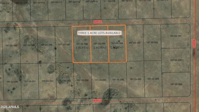 100 County Rd N3513 --, Concho, AZ 85924 - photo 4