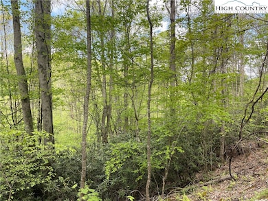 117 Deergrass Rd, Beech Mountain, NC 28604 - photo 2