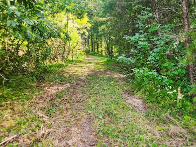 0 Alberta St, Oneida, TN 37841 - photo 3