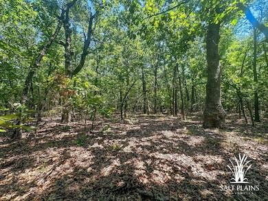 0 Brooken Mt Rd, Stigler, OK 74462 - photo 5