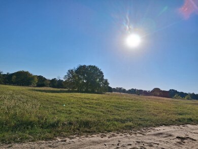 1071 County Road 2205, Ivanhoe, TX 75447 - photo 6