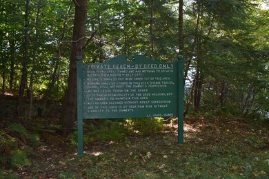 Map 33 Lot 68 Dillion Dr E, Strafford, NH 03884 - photo 6