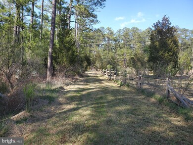 4908 David Greene Rd, Cambridge, MD 21613 - photo 5