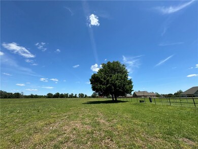 southern fence line