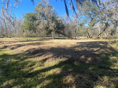 0 River Bend Dr unit 69791859, Brazoria, TX 77422 - photo 2
