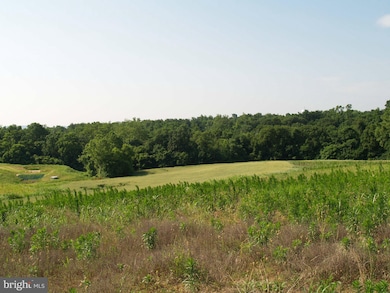 3714 Petersville Rd, Knoxville, MD 21758 - photo 7