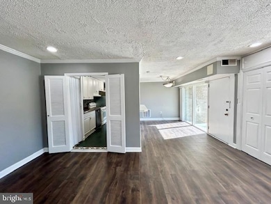 3844 Bel Pre Rd unit 3844-4, Silver Spring, MD 20906 - photo 4