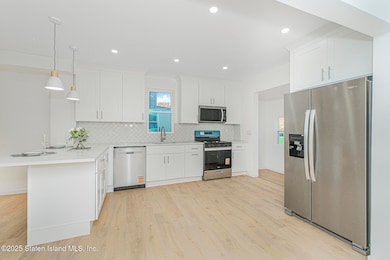 11 Laforge Ave, Staten Island, NY 10302 - photo 6