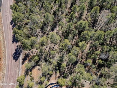 2170 S Pleasant View Dr, Show Low, AZ 85901 - photo 6