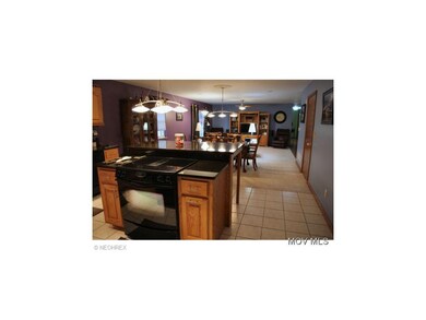 View From Kitchen