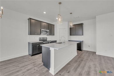 8909 Chalkmaple Dr, Killeen, TX 76542 - photo 3