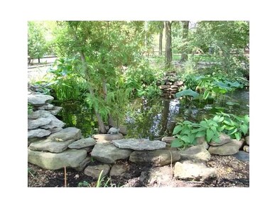 Pond during Spring/Summer/Fall - lots of Koi and water plants