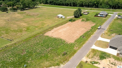 305 River Styx Dr, Monroe, LA 71203 - photo 5