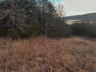 000 Lakebreeze Cir, Theodosia, MO 65761 - photo 4