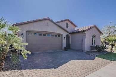 233 E Glacier Dr, Chandler, AZ 85249 - photo 2