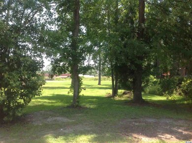 704 Adeline Ct unit Lot 5, Conway, SC 29526 - photo 5