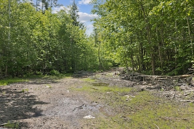 1_DJI_20250602093231_0329_D
