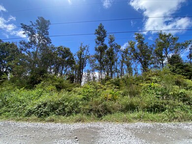 0 Makoa Rd unit 726211, Volcano, HI 96785 - photo 2