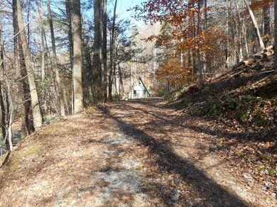 591 Pedlar River Rd, Vesuvius, VA 24483 - photo 2