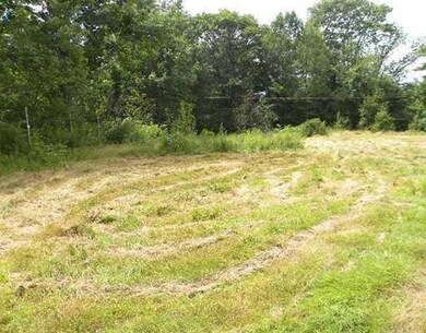 Yard/Garden.