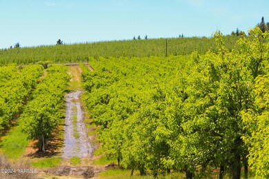 Orchard View & Road