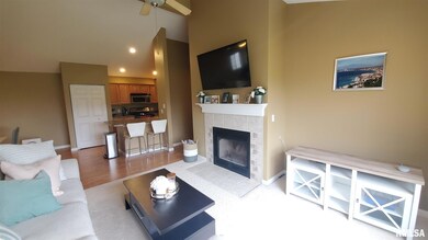 4589 N Thornhill Dr unit 2068, Peoria, IL 61615 - photo 5
