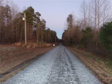 Tract 6 E Fork Dr, Seagrove, NC 27341 - photo 4