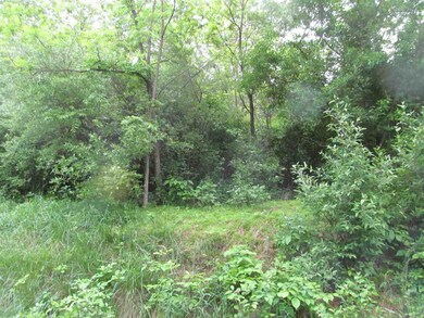 Lot 248 Quail Rd, Basye, VA 22810 - photo 2