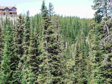 74B Plenty Coup Rd, Big Sky, MT 59716 - photo 6