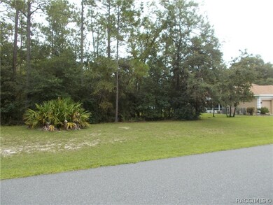 9701 N Langdon Rd, Citrus Springs, FL 34434 - photo 3