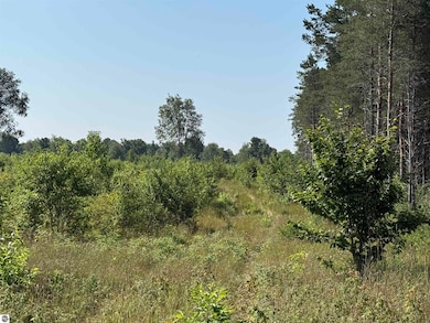 Parcel A1 E Kasson Rd, Maple City, MI 49664 - photo 6