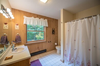 303 Chimney Hill Rd unit M214, Wilmington, VT 05363 - photo 4