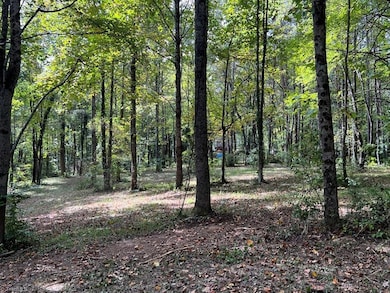 00 Jackson Rd unit 8.64 Ac, Mount Airy, NC 27030 - photo 7