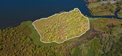 VL In Lake N, Coldwater, MI 49036 - photo 3