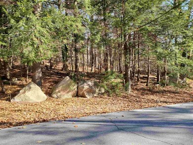 47 Alpstrausse, Intervale, NH 03845 - photo 4