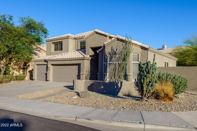 MountainSage-48