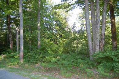 0 Bog Rd unit 4639257, New London, NH 03257 - photo 6