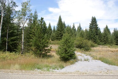 Entrance & Shed in Background