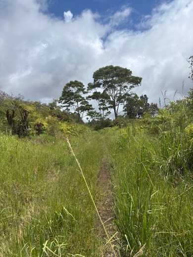 Traveling on unpaved overgrown road to the property it is improved all the way to property