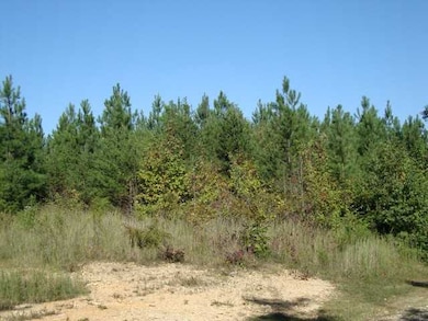 0 Slink Shoals Rd unit 3257290, Linden, TN 37096 - photo 4