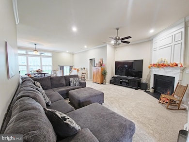 207 Stonebridge Dr, Felton, DE 19943 - photo 7