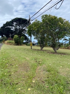 Front Highway side view of lot. Beautifully manicured lot with lawn.
