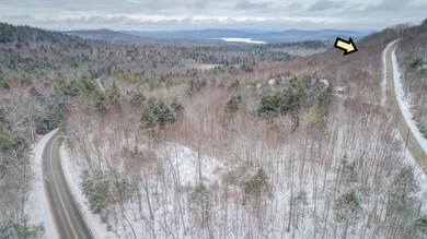 0 Bear Trap Rd unit 1462995, Bridgton, ME 04009 - photo 3