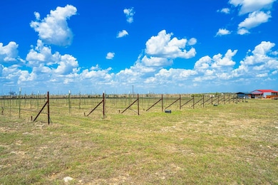 3059 County Road 212, Bertram, TX 78605 - photo 3