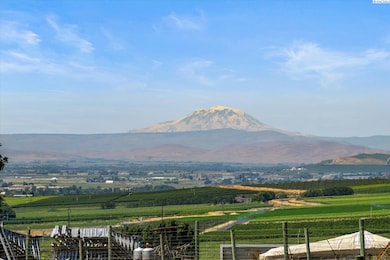 170732 Olsen Rd, Grandview, WA 98930 - photo 7