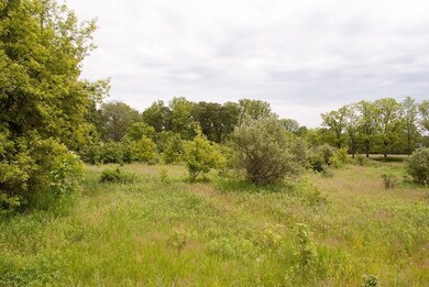 5894 Ray Knight Dr, Dexter, MI 48130 - photo 2