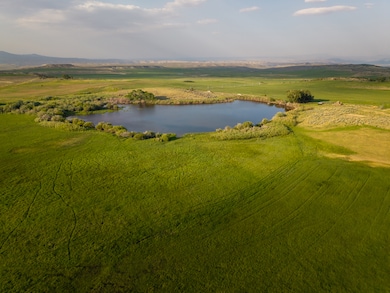 550 S Hereford Weigh Way, Manilla, UT 84046 - photo 4