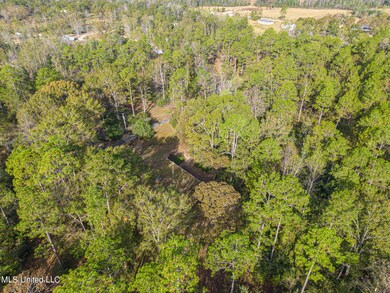 20 Acre Parcel