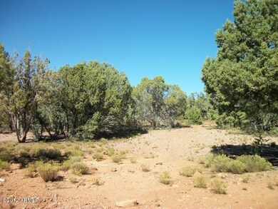 1202 W Beech Pkwy unit 83, Payson, AZ 85541 - photo 7