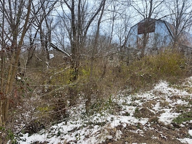 11288 Kentucky 57, Tollesboro, KY 41189 - photo 6